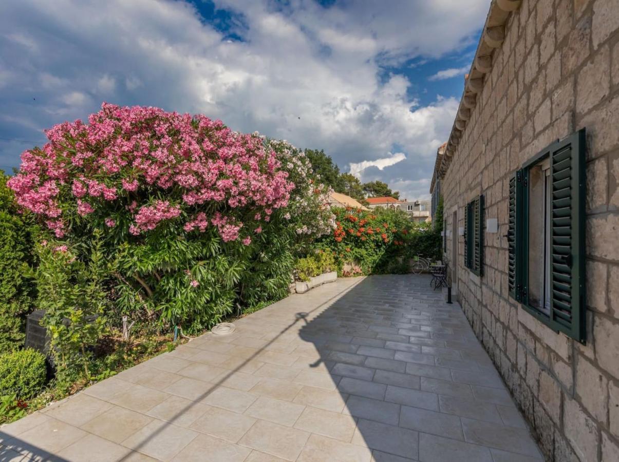 Villa Joe Čilipi エクステリア 写真